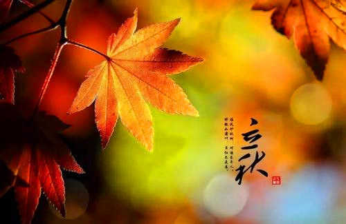 2021立秋古詩朗誦作品