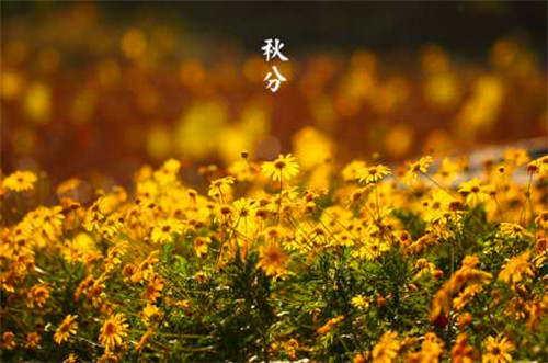 秋分2.jpg