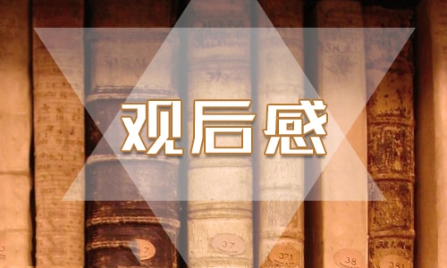 長(zhǎng)津湖觀后感作文600字