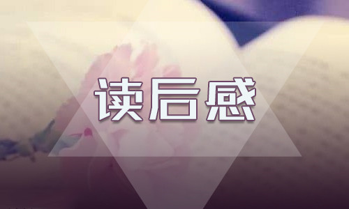 紅色經(jīng)典故事讀后感800字2023年