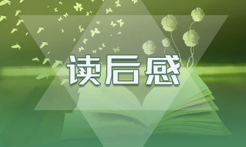 紅樓夢讀后感800字